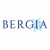 Террасная доска из ДПК Bergia